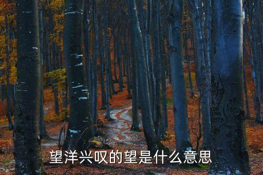 望什么興嘆，望空興嘆是什么意思