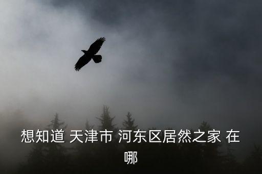 天津市居然之家的地址，天津市河東區 居然之家 的位置