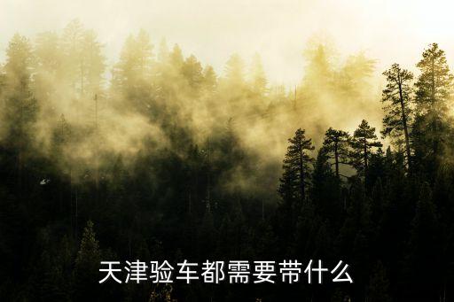 天津驗車都需要帶什么