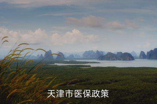 天津市醫保政策