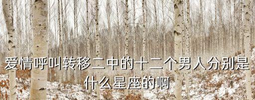 十二個(gè)男人，一年十二個(gè)男人怎么樣