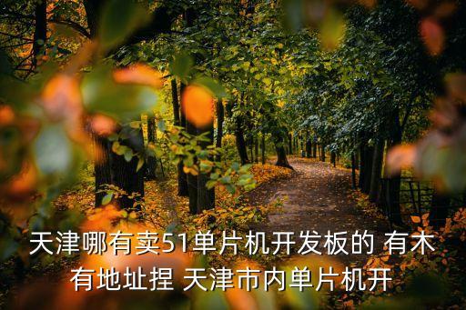 天津哪有賣51單片機開發板的 有木有地址捏 天津市內單片機開