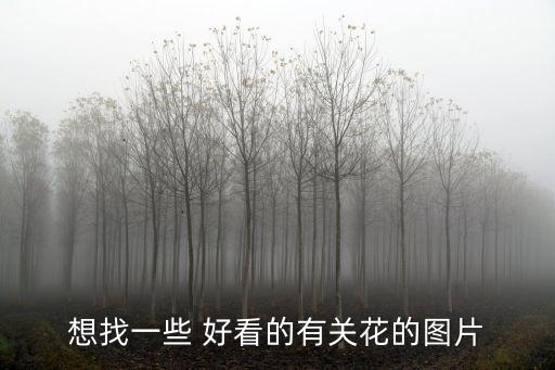 想找一些 好看的有關花的圖片
