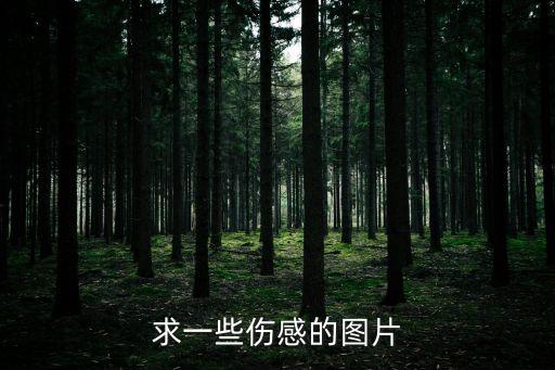 求一些傷感的圖片