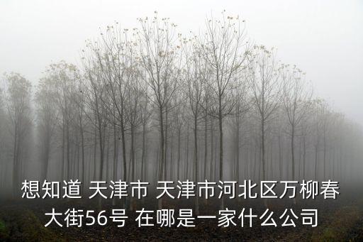 想知道 天津市 天津市河北區(qū)萬柳春大街56號 在哪是一家什么公司