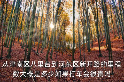 天津市津南區新開路的事情，從津南區八里臺到河東區新開路的里程數大概是多少如果打車會很貴嗎