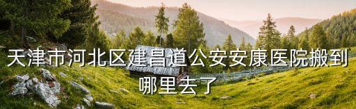 天津市河北區建昌道公安安康醫院搬到哪里去了