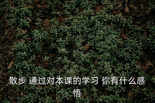 散步 通過對本課的學習 你有什么感悟