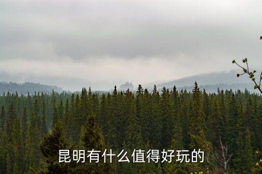 昆明有什么值得好玩的