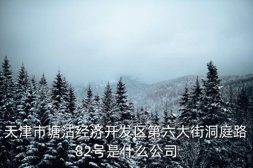 天津市塘沽經濟開發區第六大街洞庭路82號是什么公司