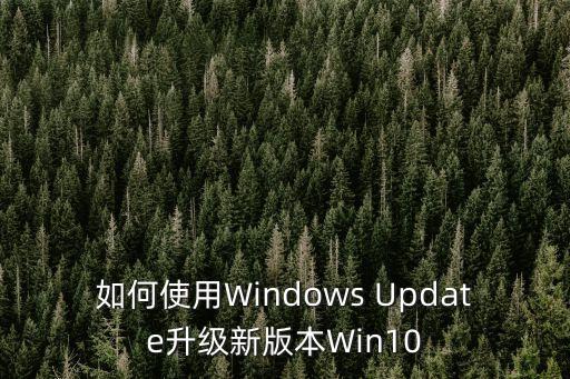 win10系統(tǒng)更新，如何使用Windows Update升級新版本W(wǎng)in10