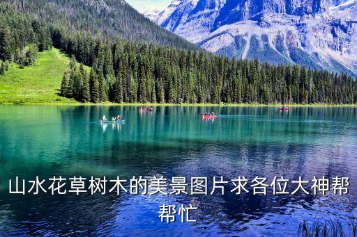 圖片風景花草，關于園林樹木花卉圖片網站