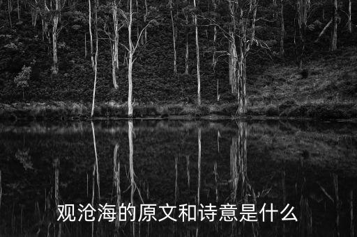 觀滄海的詩(shī)意，觀滄海的詩(shī)意