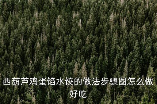 西葫蘆雞蛋餡水餃的做法步驟圖怎么做好吃