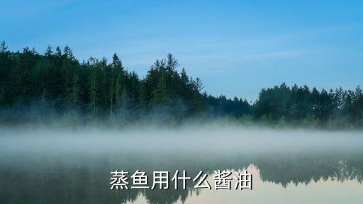 蒸魚用什么醬油