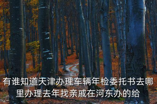 天津市津南區(qū)年審地點(diǎn)，距離津南區(qū)最近的驗(yàn)車地址在哪