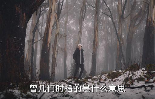 曾幾何時指的是什么意思