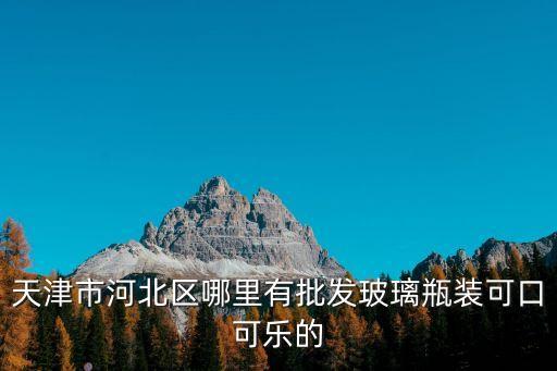 天津市河北區哪里有批發玻璃瓶裝可口可樂的