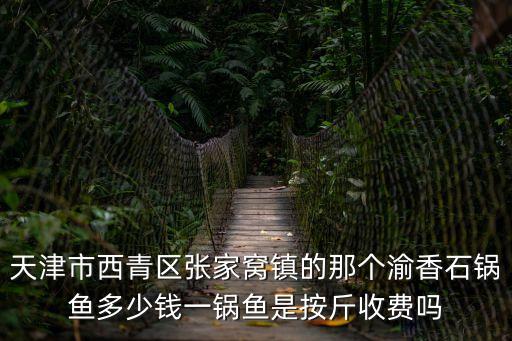 天津市西青區(qū)張家窩鎮(zhèn)的那個渝香石鍋魚多少錢一鍋魚是按斤收費嗎