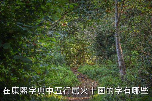 在康熙字典中五行屬火十畫的字有哪些