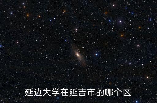 延邊大學在延吉市的哪個區