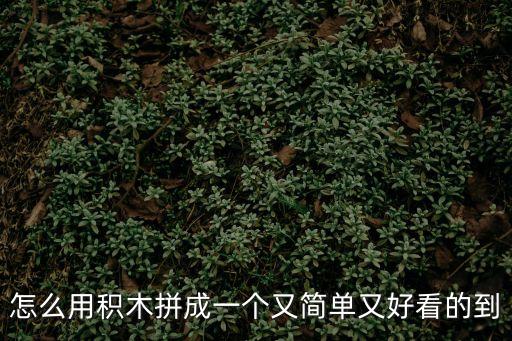 怎么用積木拼成一個又簡單又好看的到