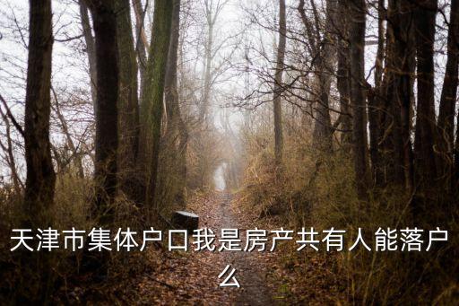 天津市落戶房屋有別人戶口，天津市集體戶口我是房產共有人能落戶么