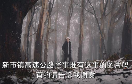 新市鎮高速公路怪事誰有這事的圖片嗎有的請告訴我謝謝