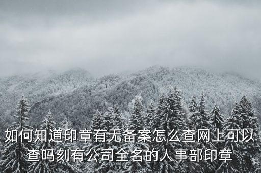 天津市印章備案查詢系統，我想查印章上的字