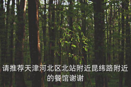 請推薦天津河北區(qū)北站附近昆緯路附近的餐館謝謝