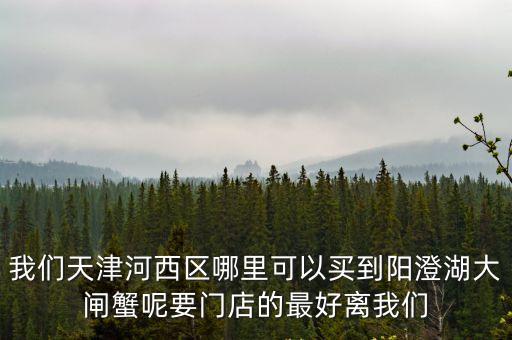 我們天津河西區哪里可以買到陽澄湖大閘蟹呢要門店的最好離我們