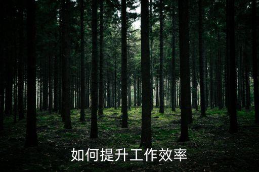 如何提升工作效率