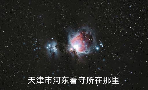 天津市河東看守所在那里