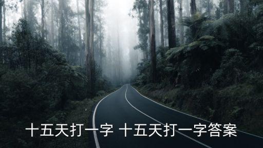 十五天打一字 十五天打一字答案