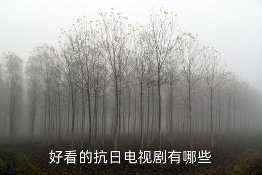 好看的抗日電視劇有哪些