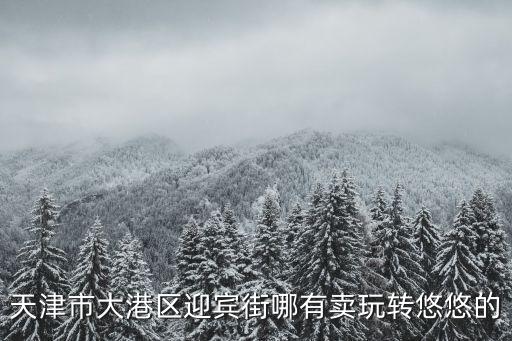 天津市大港區(qū)迎賓街哪有賣玩轉(zhuǎn)悠悠的