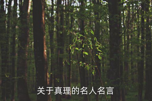 真理名言，描寫真理的名言