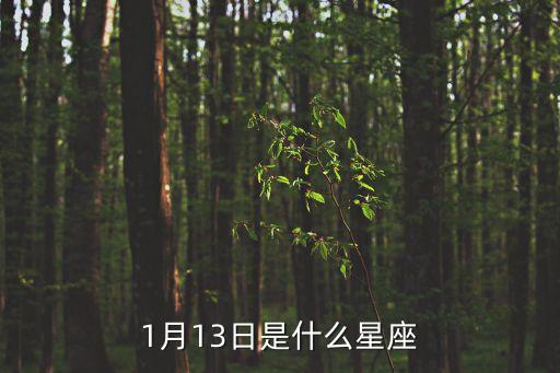 1月13日是什么星座，1月13日是什么星座