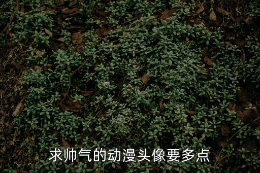 超帥動漫頭像，求帥氣的動漫頭像要多點