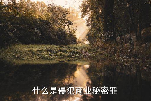 什么是侵犯商業秘密罪