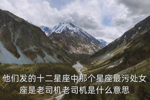 老司機污，老司機是什么意思污