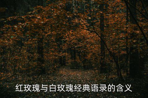 紅玫瑰與白玫瑰經典語錄的含義