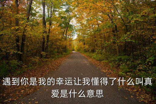 遇到你是我的幸運讓我懂得了什么叫真愛是什么意思