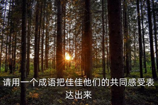 請用一個成語把佳佳他們的共同感受表達出來