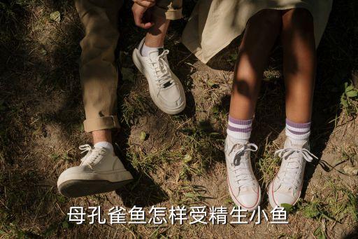 母孔雀魚怎樣受精生小魚
