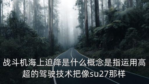戰(zhàn)斗機(jī)海上迫降是什么概念是指運(yùn)用高超的駕駛技術(shù)把像su27那樣