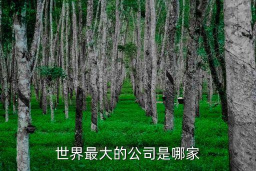 世界最大的公司是哪家