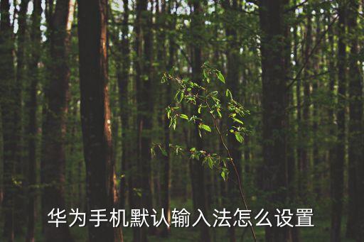 華為輸入法設置，華為4a手機怎樣設置輸入法