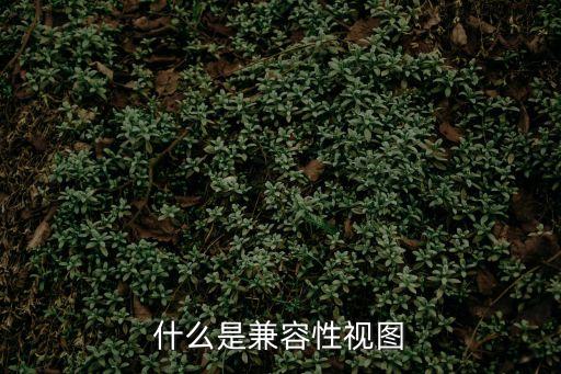 兼容性視圖，兼容性視圖是什么意思