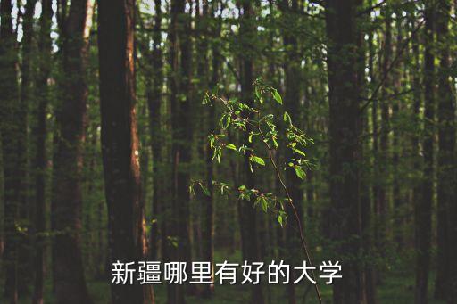 新疆哪里有好的大學